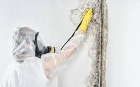 Best Residential Mold Inspection & Testing  in Eatonville, FL